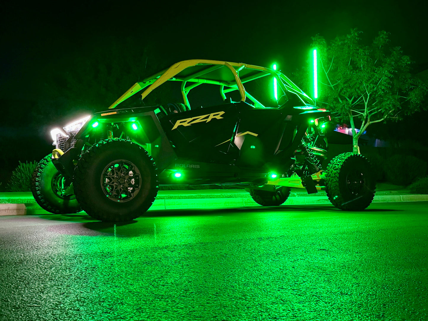 Rookie Series Rock Lights
