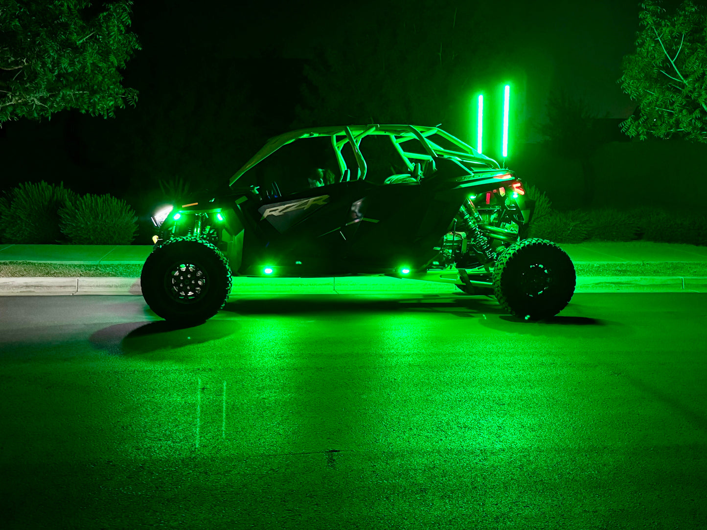 Rookie Series Rock Lights