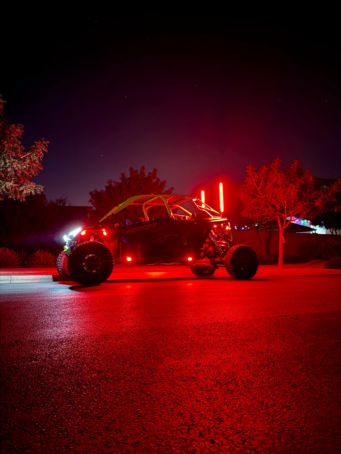 Rookie Series Rock Lights